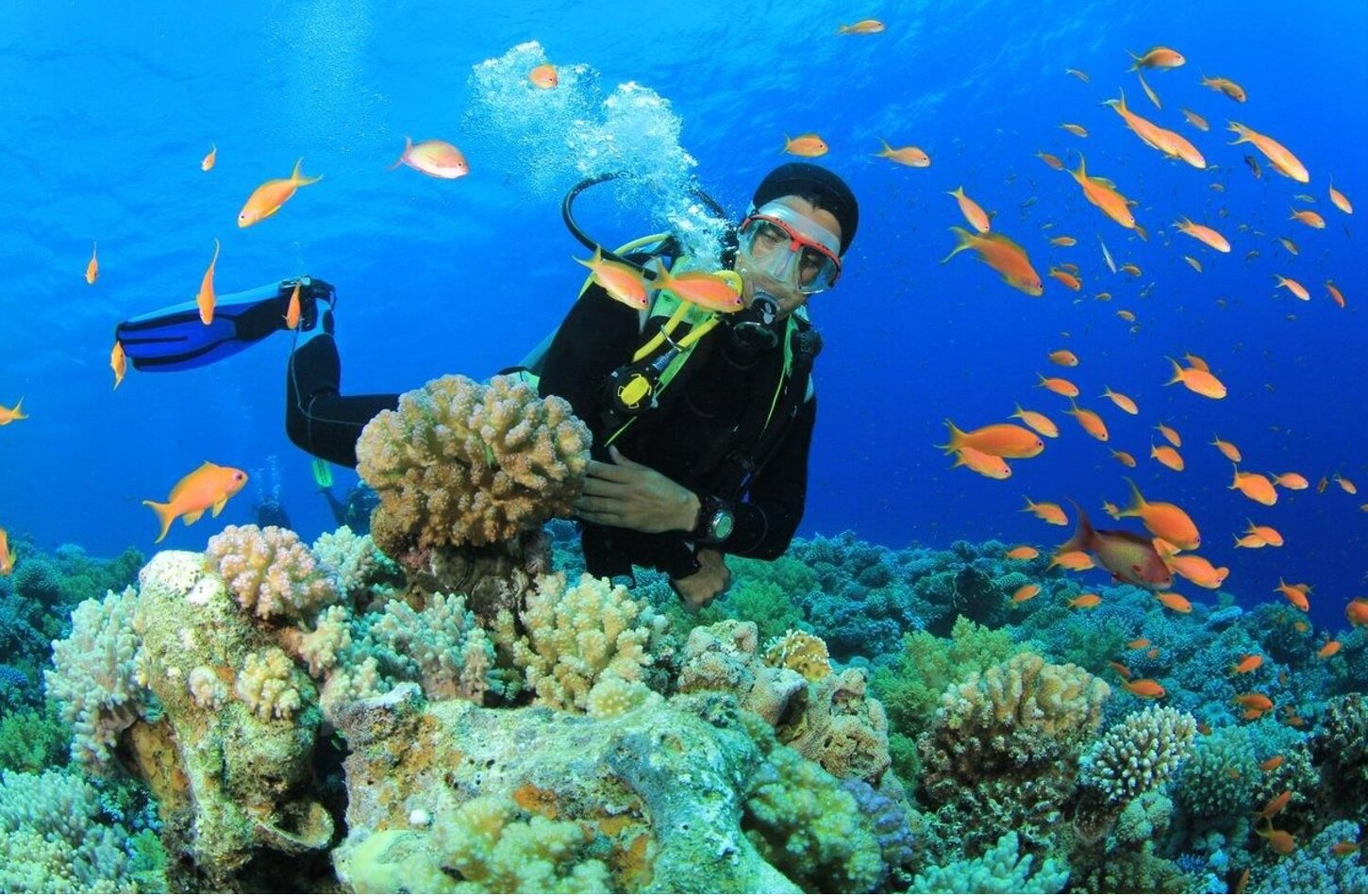 Start your visa-prepared journey with Phu Quoc’s tropical glow